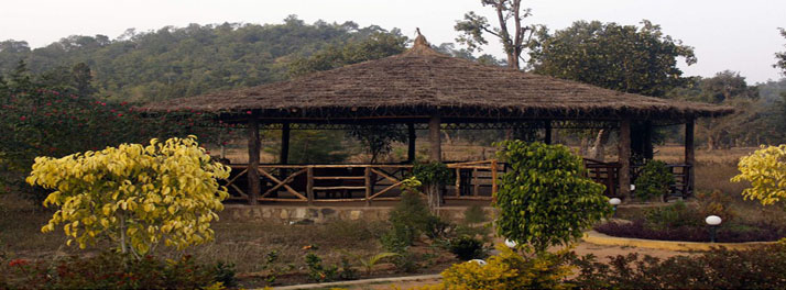 2442/The Wildflower Resort - Bandhavgarh 02.jpg